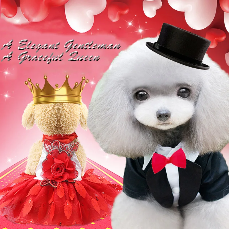 Одежда для щенков на весну и лето 2019 одежда маленьких средних собак пара