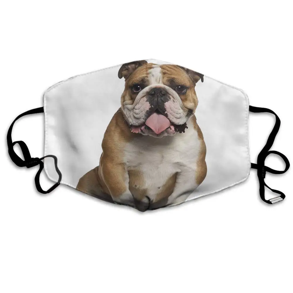 Забавная маска для лица с изображением английского бульдога сидящего на лице из
