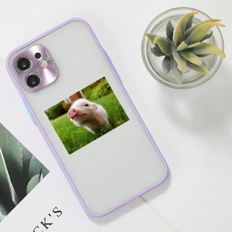 

Cute Little Pink Pet Pig Phone Case For iPhone 12 11 Mini Pro XR XS Max 7 8 Plus X Matte transparent Purple Back Cover
