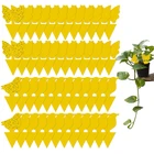 10 упаковок липких ловушек для мух и грибков, Ловушки для грибов для использования внутри и вне помещений, защита растений, нетоксичные и без запаха