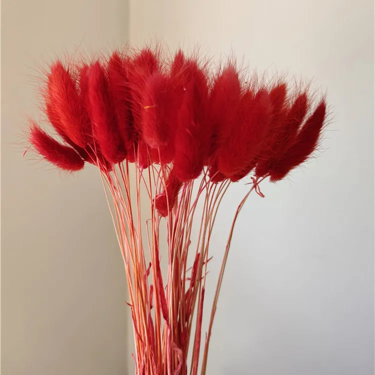100 шт./лот сушеные цветы с натуральным кроличьим хвостом настоящие на ощупь