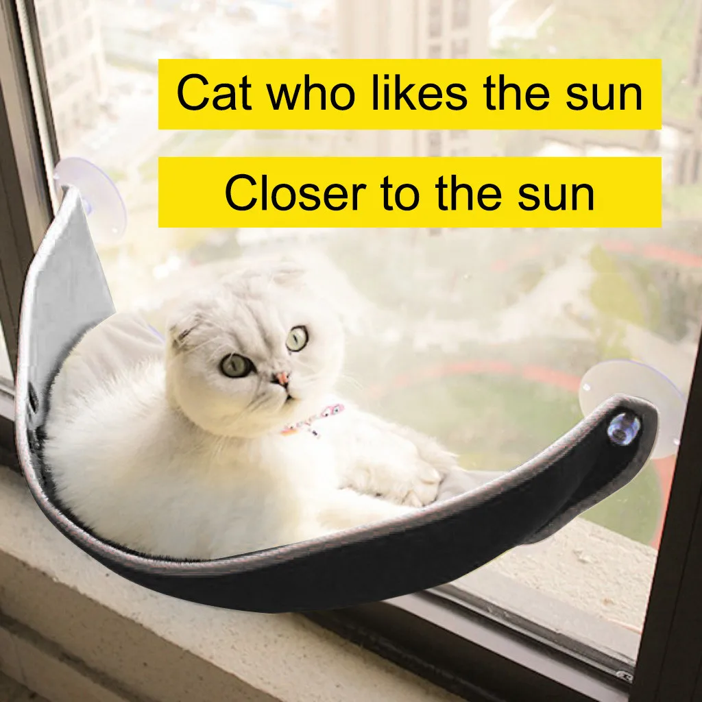 Присоска для кошек на присоске глубокая кровать сна у собак и наблюдения за