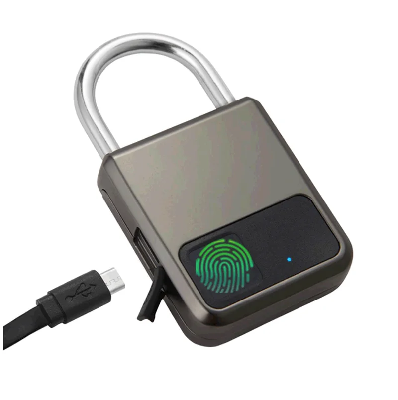 

Водонепроницаемый смарт-замок с отпечатком пальца, замок для шкафа, с зарядным устройством USB