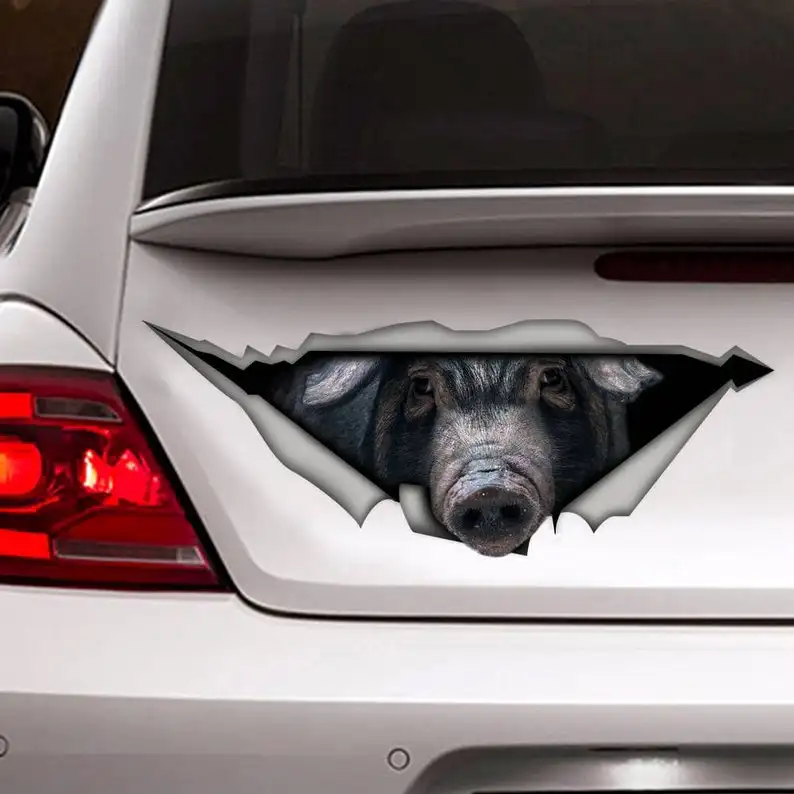 

Decal | Black pig car decal, farm decal, black pig sticker