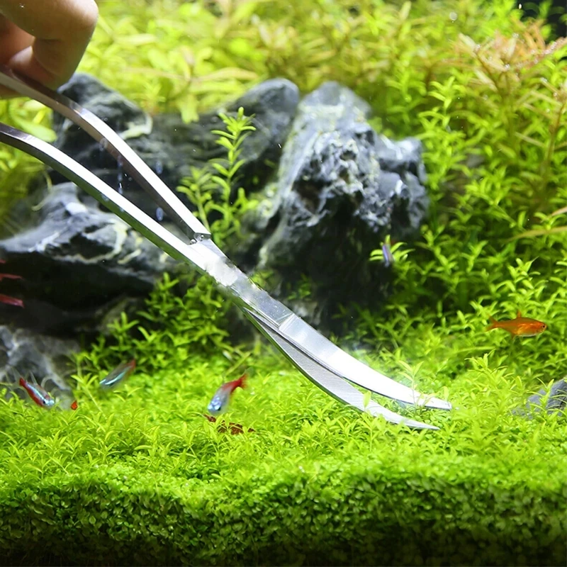 

6Pcs/Set Aquarium Tools Kit Plants Stainless Steel Tweezers Scissors Cleaning Water Plants Fish Tank Accessories 3/4/5 Pcs