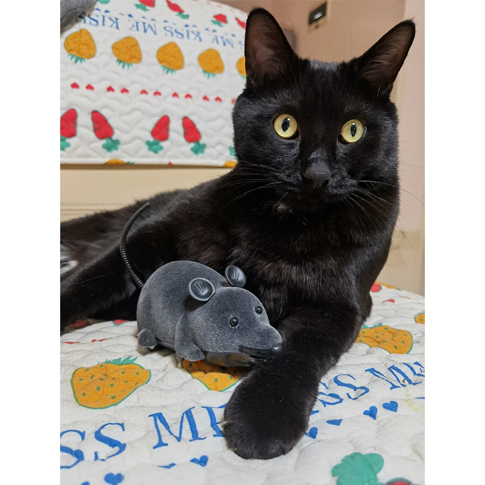 

Electronic Remote Control Mouse Pet Cat Toy Plush Rat Toy for Cat Dog Kid Novelty Gift Wireless Remote Control Funny Toys