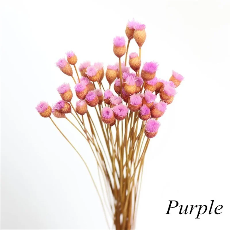 

30pcs / lot Happy Flower Natural Dried Flower Bouquet Home Decoration Real Flower Diy Flower Arrangement Flower Shooting Props