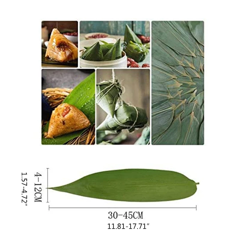 

Ecological Bamboo Plant Leaves, Natural Fragrance Zongye for Roller Plates and Gourmet Cuisine Decorations