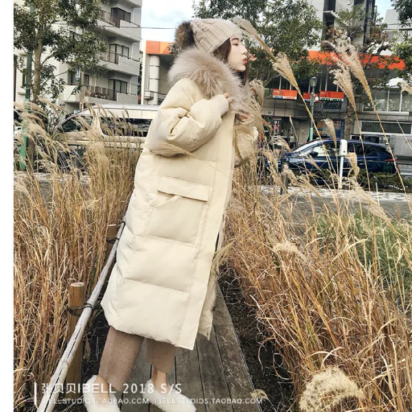 

season Off down and down cotton padded jacket women's 2020 winter dress