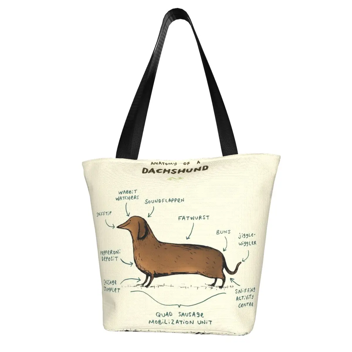 

Anatomy Of A Dachshund Shopping Bag Dog Pet School Polyester Handbags Woman Fashion Funny Bags