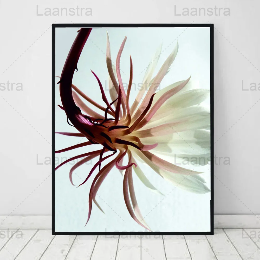 

Plant Home Decoration Painting Fleshy Green Plants Small Flowers Living Room Wall Canvas Poster Fresh and Simple Bedroom Prints