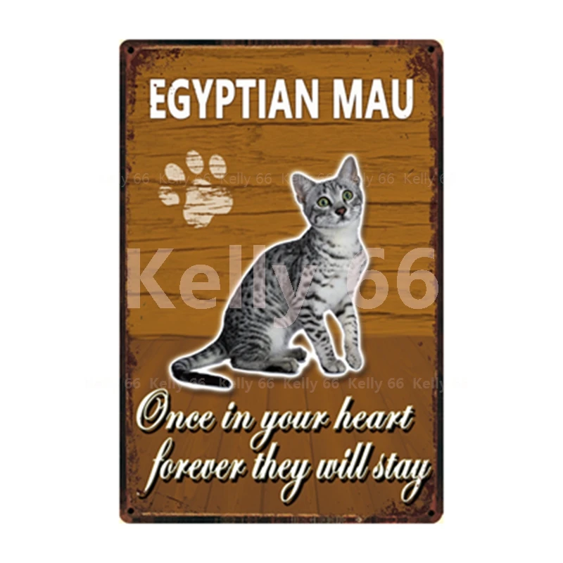 

[ Kelly66 ] Pets Cat Bombay Siamese Exotic Shortair Abyssinian Metal Sign Home Decor Bar Wall Art Painting 20*30 CM Size Dy146