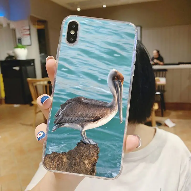 

pelican bird animal Phone Case Transparent for iPhone 6 7 8 11 12 s mini pro X XS XR MAX Plus