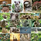Алмазная картина, австралийские животные, кенгуру, ленивый Koala Meerkat 5D, полный набор для вышивки, Настенный декор, подарок, поделки, искусство