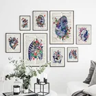 Настенная Картина на холсте с изображением человеческих органов сердца мозга, винтажные скандинавские плакаты и принты, настенные картины для декора гостиной