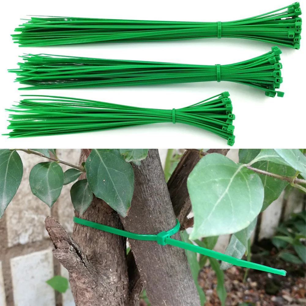 

Fixed Plant Tie Garden Plastic Self-Locking Buckle Cable Green Nylon Bundle Binding Belt Length 50pcs 30 / 25 / 20cm