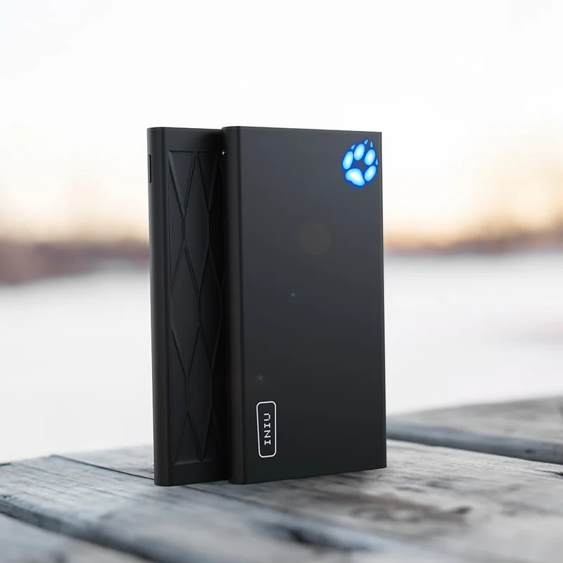 INIU 10000 мА/ч, а, внешний аккумулятор, двойной, 2 USB, портативное зарядное устройство, внешний аккумулятор для iPhone X, Xiaomi Mi, телефон, повербанк, внешний аккумулятор