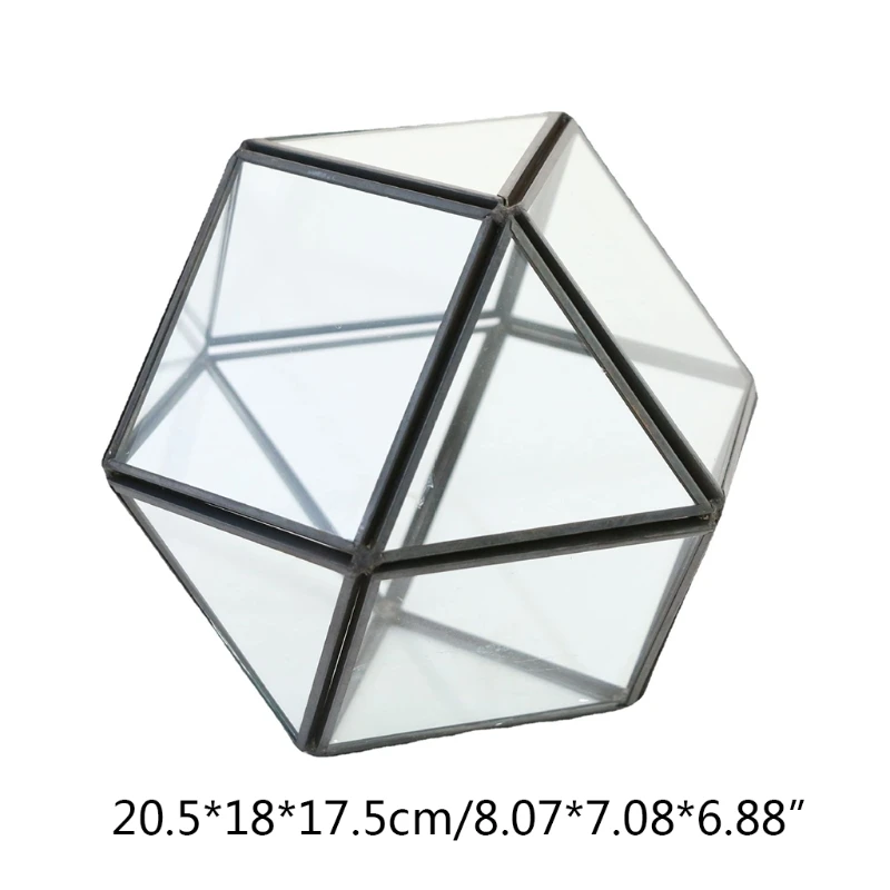 

Glass Geometric Geometric Terrarium Home Tabletop Decor Can Pentagon Regular Planter for Succulent Fern Moss Air Plants XXFD