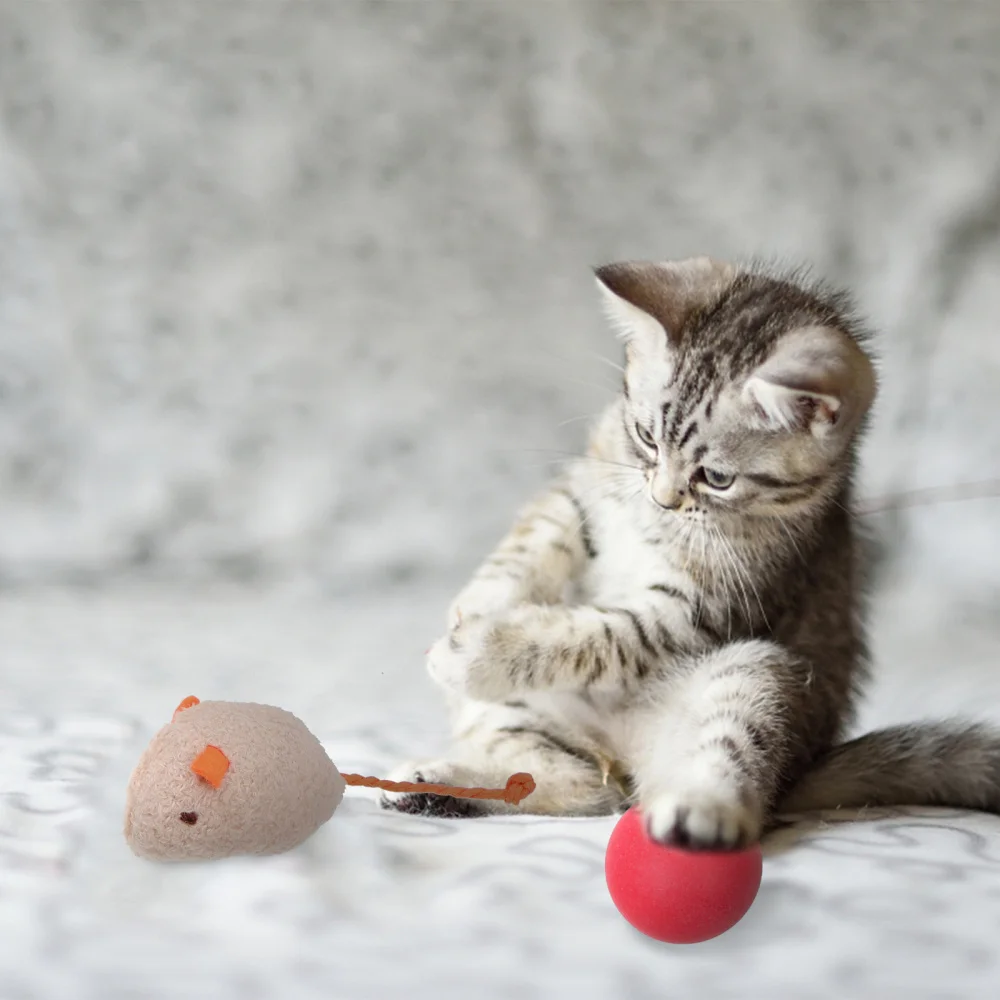 

1 Set Cat Teaser Plaything Lovely Cat Toys Pet Teaser Toys Pet Teaser Playthings