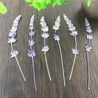 120pcs dried pressed lavender flowers plant herbarium for jewelry photo frame scrapbooking craft making accessories