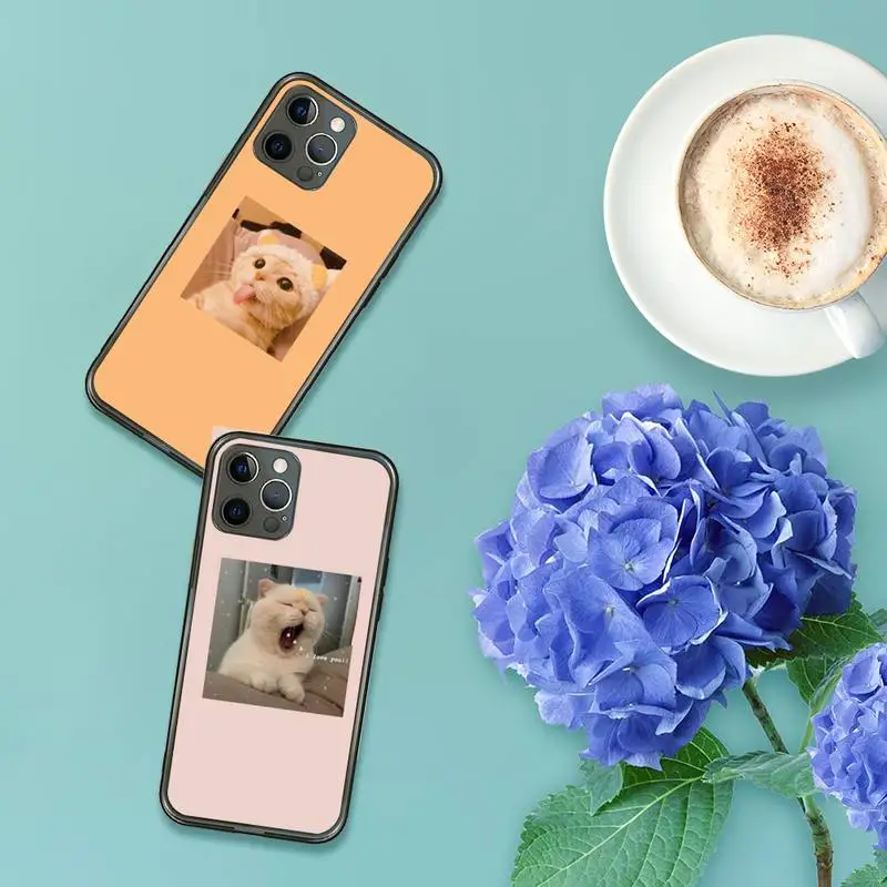 

Pink Aesthetic cute cat Phone Case For iPhone 7 8 11 12 X XS XR MINI Pro Max Plus Retro Black Grey clear transparent