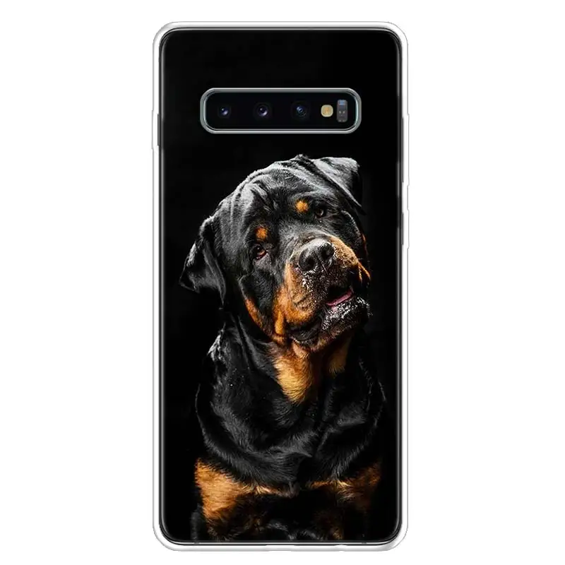 Милый чехол для телефона ротвейлера с собакой Samsung Galaxy S20 FE S21 S22 Ultra S10 Lite S9 S8 Plus S7 Edge