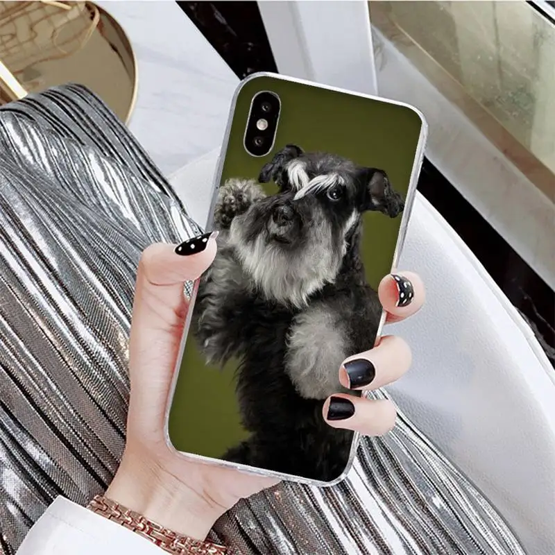 

YNDFCNB Schnauzer Puppy dog Phone Case For iPhone X XS MAX 6 6s 7 7plus 8 8Plus 5 5S se 2020 XR 12 11 pro max case
