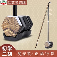 chinese erhu beginner entry professional huqin adult and children national musical instrument