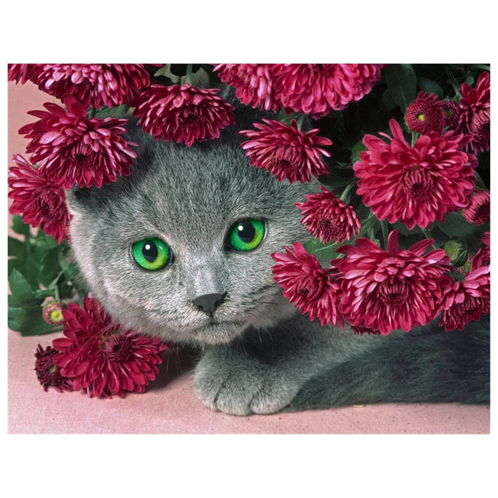 B0020-2 Sunstarry Полный Круглый Алмаз 5D DIY Алмазная картина "Животное Черный Кот Вышивка крестиком Стразы мозаика домашний Декор подарок - Цвет: B0020-2