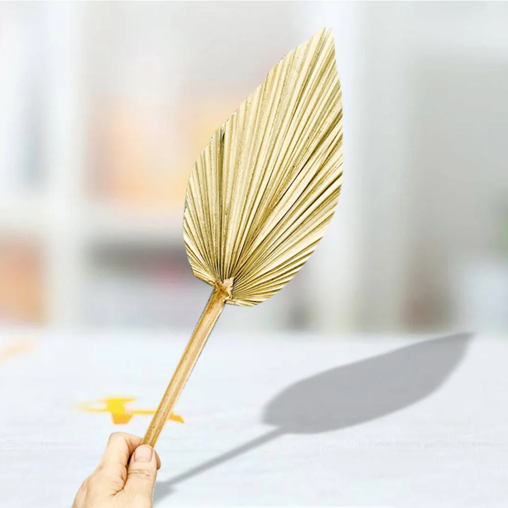 Натуральный сушеный цветок веер в виде пальмового листа растение сделай сам для