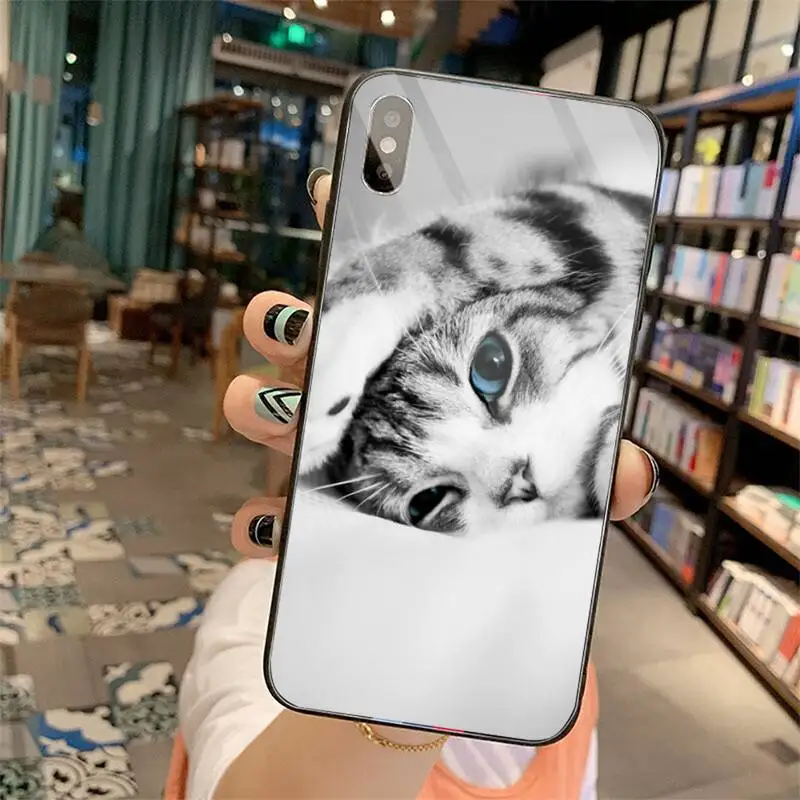 

cute cat Phone Cases Tempered glass For iphone 5C 6 6S 7 8 plus X XS XR 11 PRO MAX
