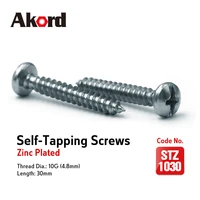 accord 100pcs self tapping screws 10gx30mm zinc plated with storage box galvanized steel fasteners