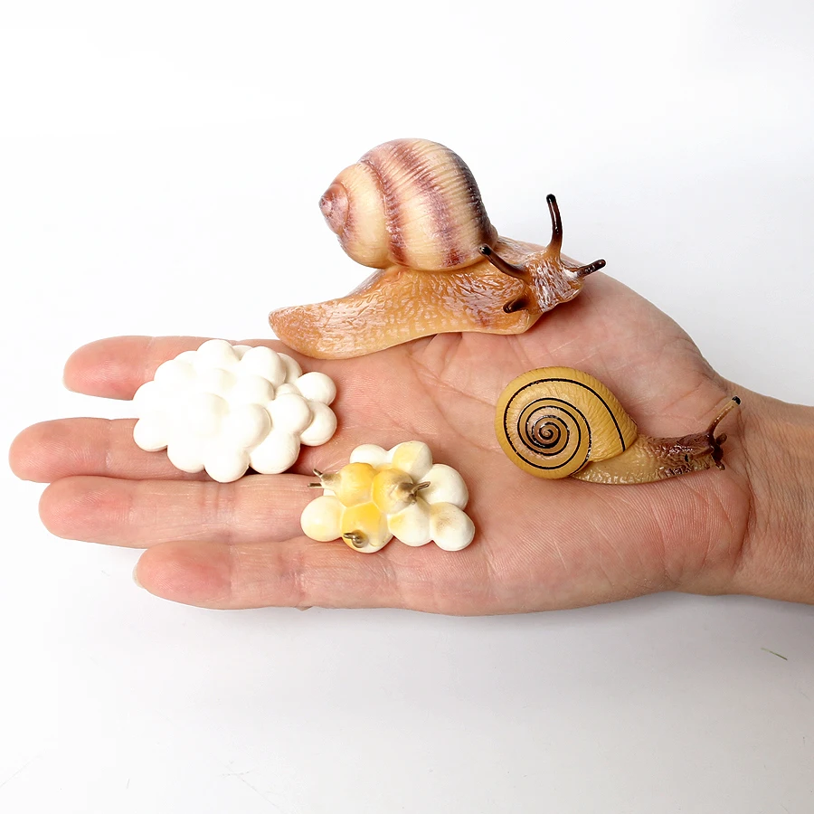 Моделирование дождевых в виде Кузнечика Mantis тщательно прикрепленные на