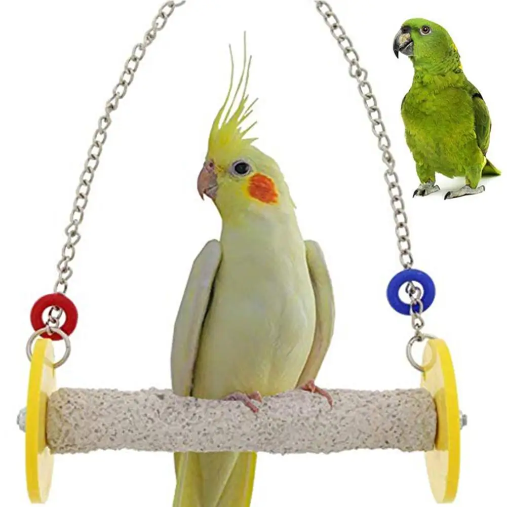 Животное птица попугай Ара висячая цепь подвешиваемая жердочка окунь клетка
