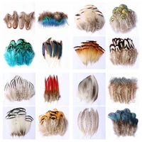 free shipping natural feather pheasant feathers for crafts ostrich feathers jewelry making christmas decoration plumes plumas