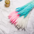 Натуральные растения тростник трава пампасы фон для дома офиса украшение на стену Пасха и свадьба флорист принадлежности реквизит для фотосъемки