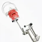 Стоматологический симулятор манекена Phantom с Новый стиль Настольный станок для заточки модели зубов для стоматолога Учебная модель