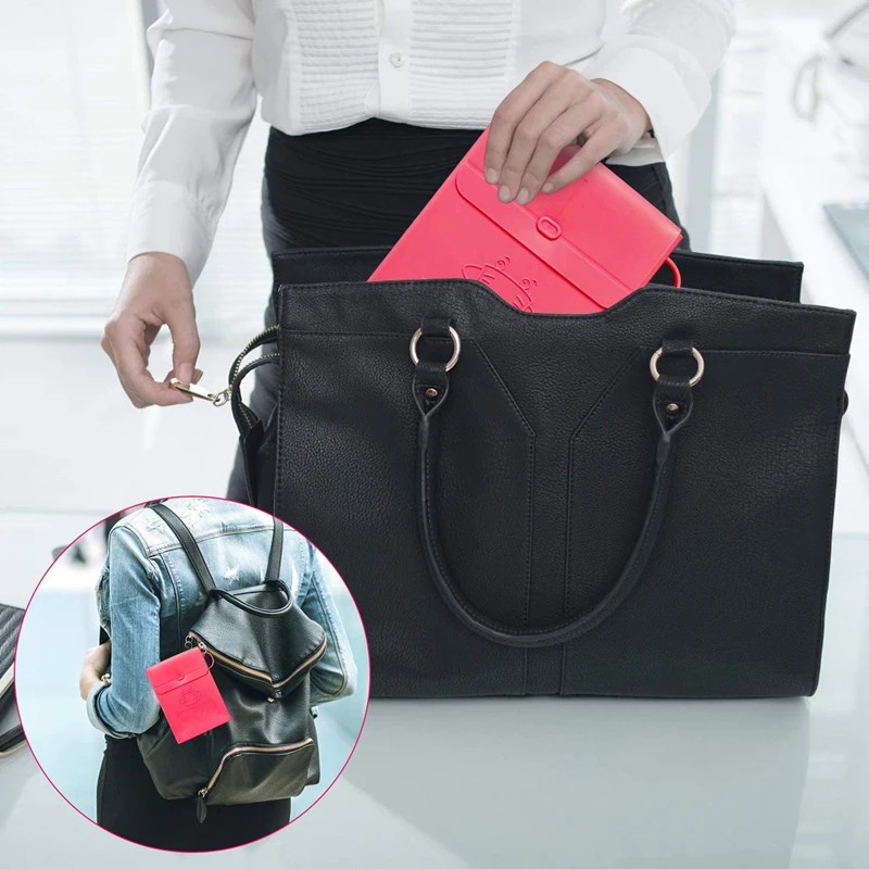 

4 Pcs Portable Mask Storage Bag and Mask Lanyard, Mask Storage Boxes, Portable Mask Case Reusable Masks Organizer Holder