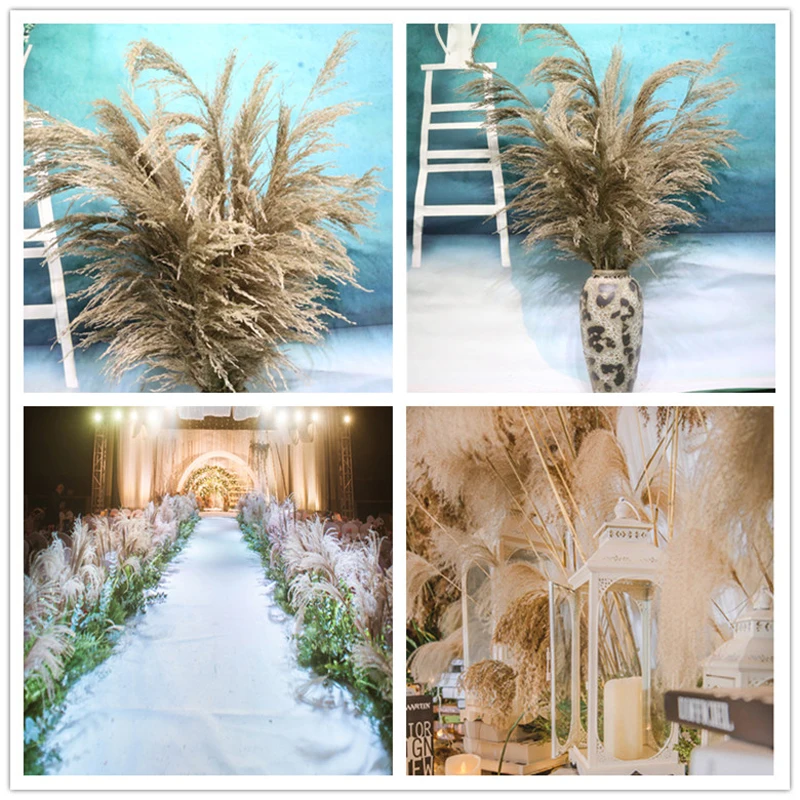

10 Sticks Large Dried Reed Flowers Pampas Grass Dry Wheat Ears for Home Decoration Primary Color Dry Plant Reed Decoration 90 Cm