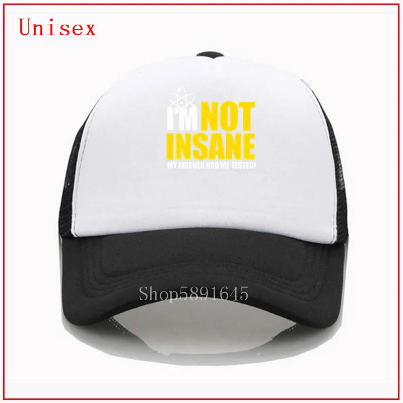 Кепка THE THEORY для мужчин и женщин бейсболка с забавным рисунком Я не безумный