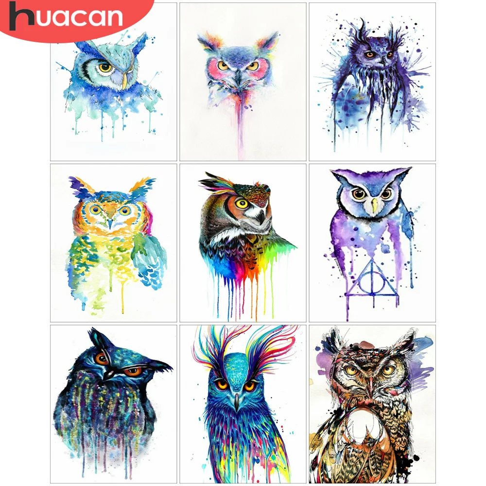 

HUACAN Painting By Numbers Owl Acrylic On Canvas Unique Gift Wall Art Picture By Numbers Animal Children's Room Decor