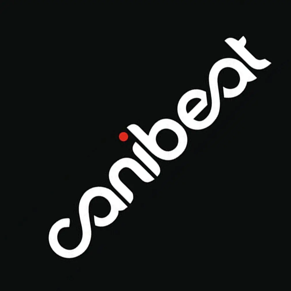 

English words windshield reflective car stickers Personality side door scratches posted back window stickers