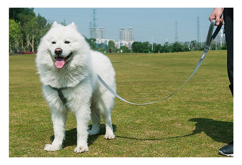 Поводок и поводок для собак TUFFHOUND, нейлоновый быстросъемный ошейник для бульдога, товары для домашних животных, синий, серый свинец