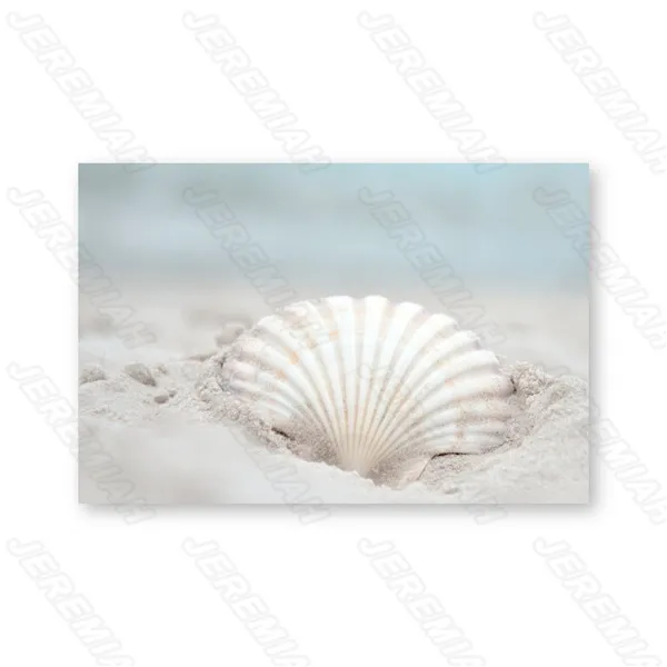 

White Shell Five-Pointed Star Landscape Poster Nordic Style Wall Art Canvas Print Painting Modern Living Room Bedroom Decoration