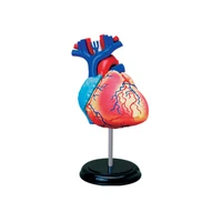 4d master human anatomical assembling toy human heart organ anatomical model diy science school teaching education tools