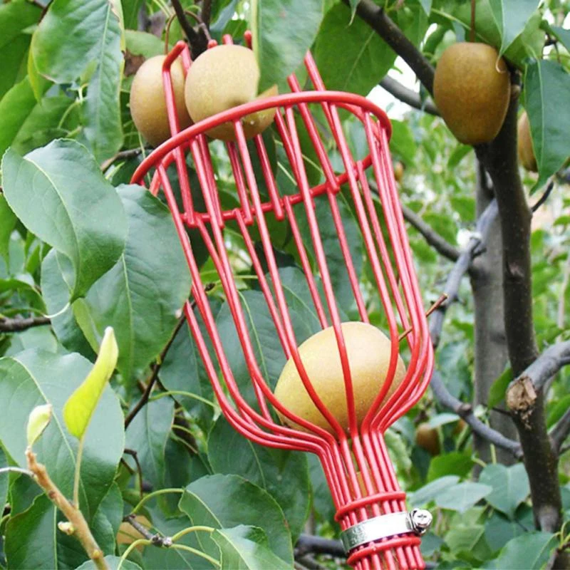 

Outdoor Deep Basket Garden Tools Fruit Picker Head Metal Fruit Picking Tools Fruits Catcher Harvest Picking
