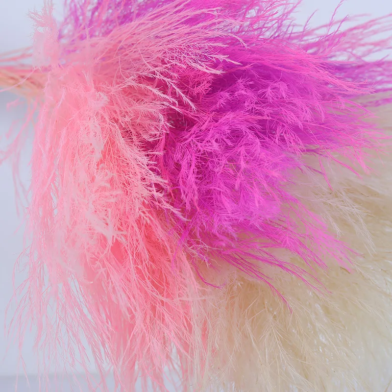 

10pcs Feathers Grass Natural Dried Preserved Flower Plant House Decoration Accessories Aesthetic Centerpieces For Dining Room