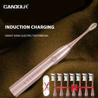 candour cd 5168 electric toothbrush safety sonic toothbrush induction charging adult ipx8 waterproof with 16 brush heads