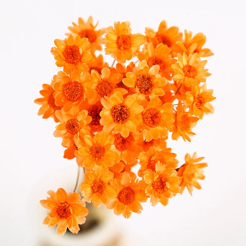 60pcs Natural Eternal Rose mini star flowers Dried Flower Bouquet for Wedding Party Home Decoration accessories Display flower | Дом и сад