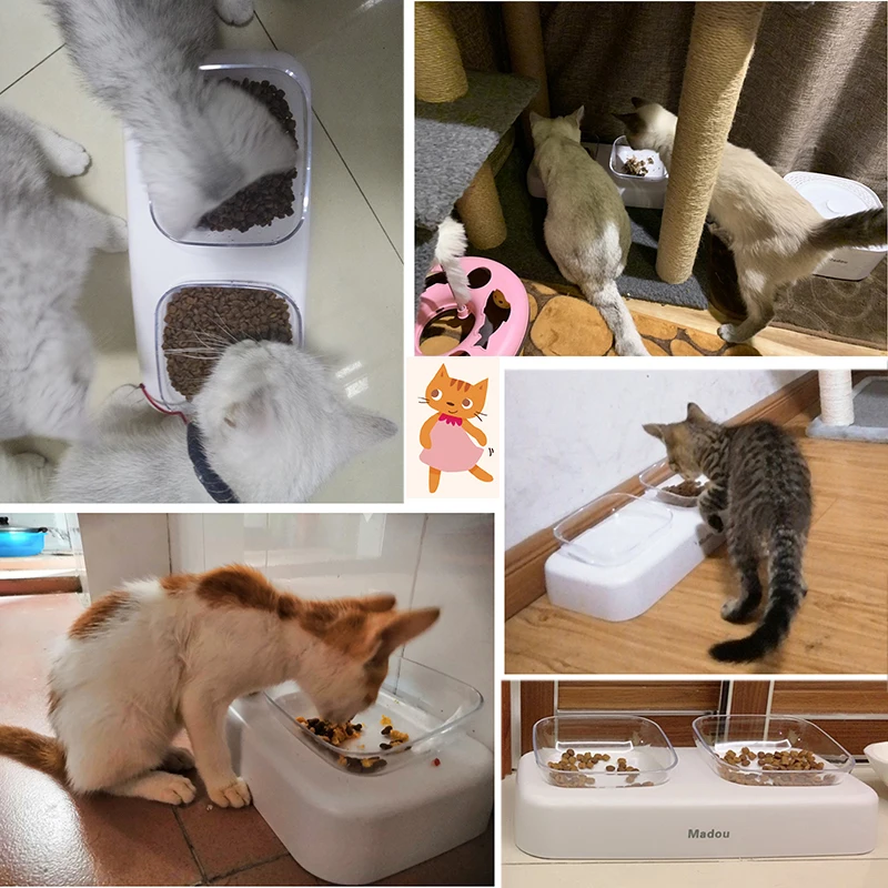 Миска для домашних животных SMARTPET прочная моющаяся с нескользящим дном и защитой
